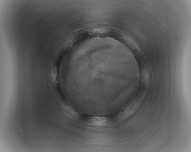 X0000111480328200908041127