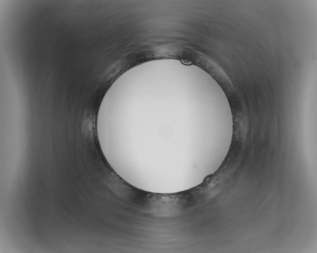 X0000111480329200908041127