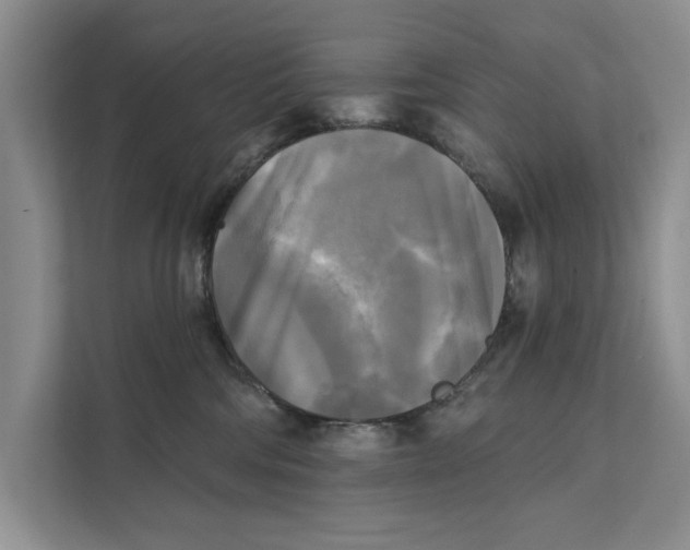X0000111480330200908041127