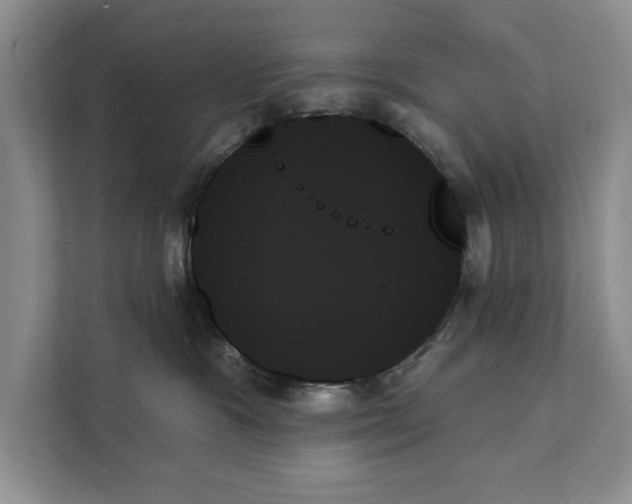 X0000111480333200908041127