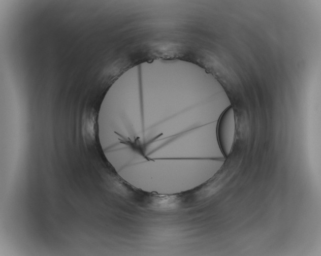 X0000111480334200908041127