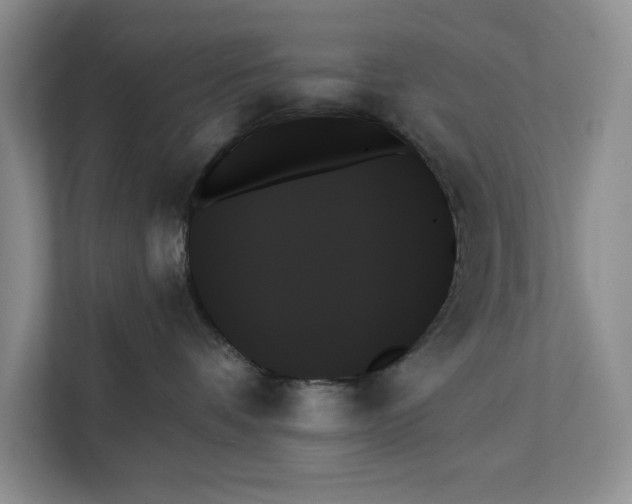 X0000111480336200908041127
