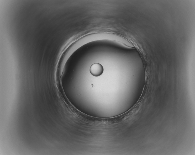 X0000111480340200908041126
