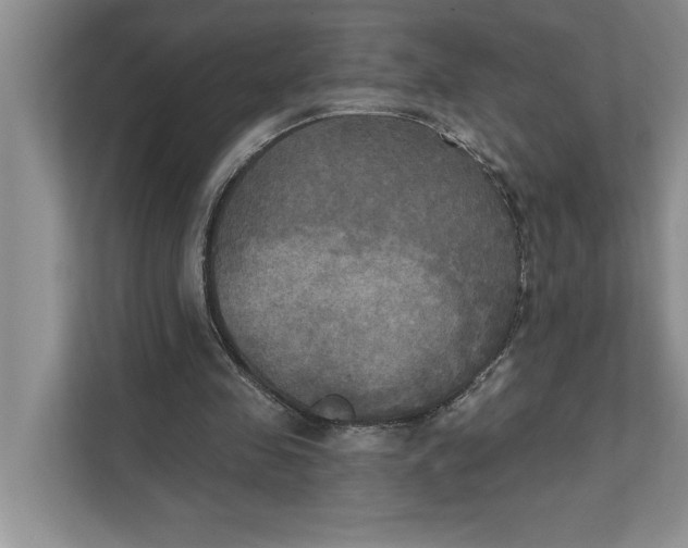 X0000111480341200908041126