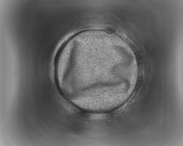 X0000111480342200908041126
