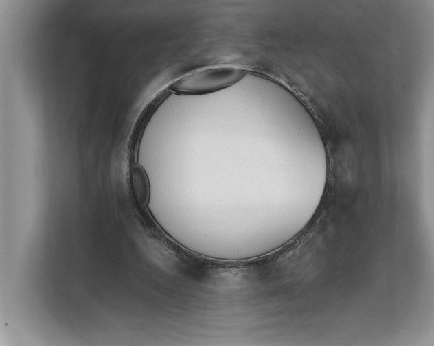 X0000111480344200908041126