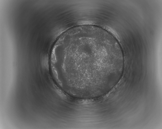 X0000111480345200908041126
