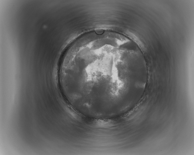 X0000111480346200908041126
