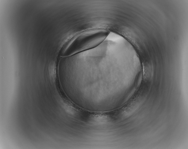 X0000111480348200908041126