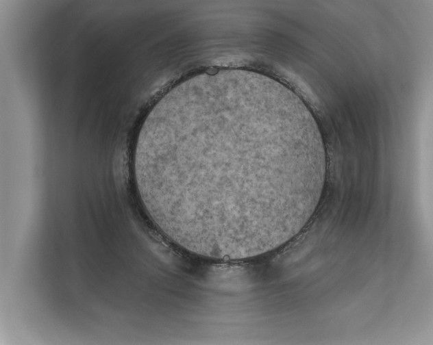 X0000111480354200908041126