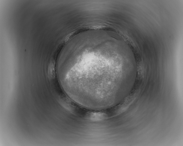X0000111480360200908041127