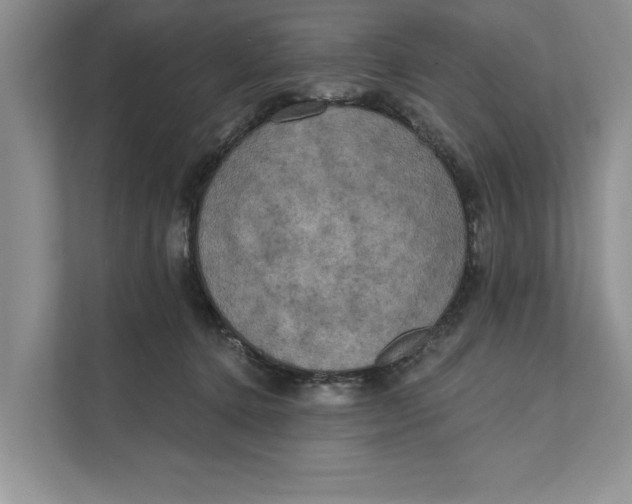 X0000111480368200908041127
