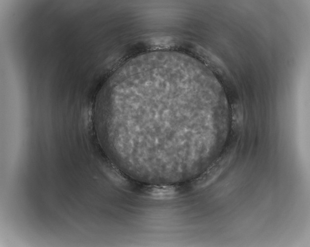 X0000111480369200908041127