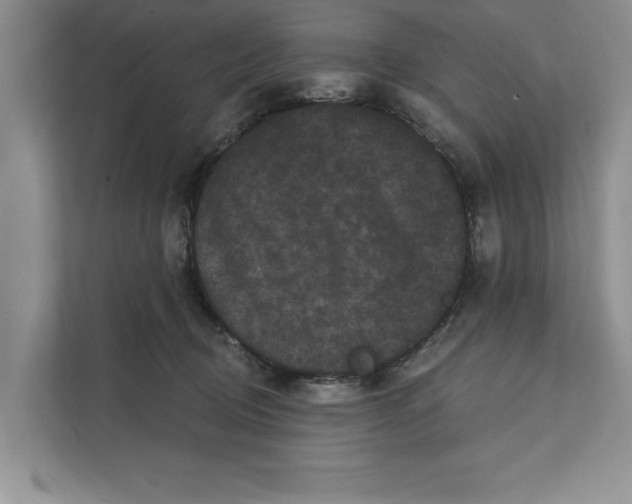 X0000111480370200908041127