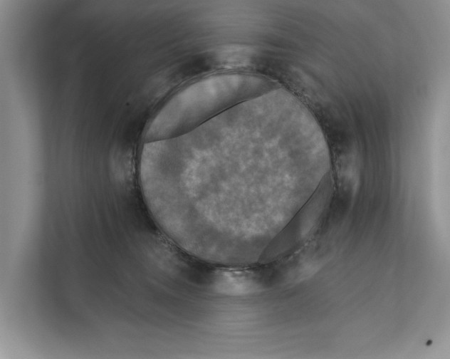 X0000111480372200908041127
