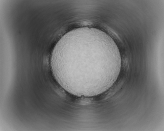 X0000111480373200908041127