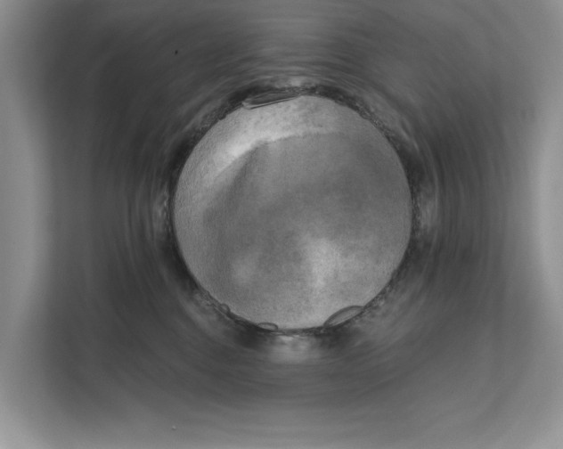 X0000111480376200908041127