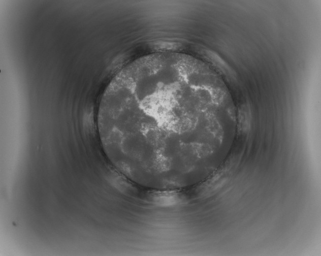 X0000111480377200908041127
