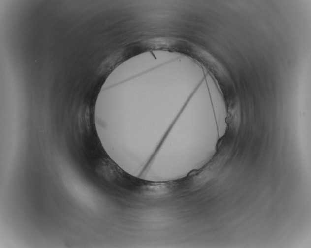 X0000111480381200908041127