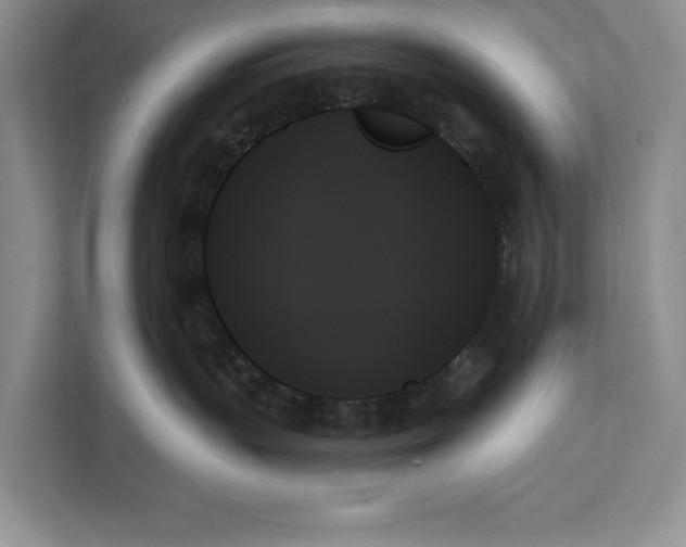 X0000111480383200908041127