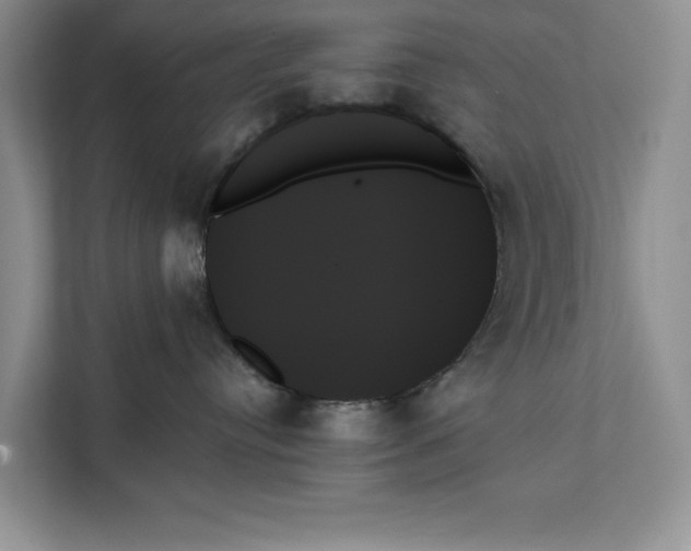 X0000111480384200908041127