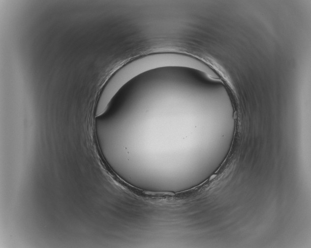 X0000111480385200908041126