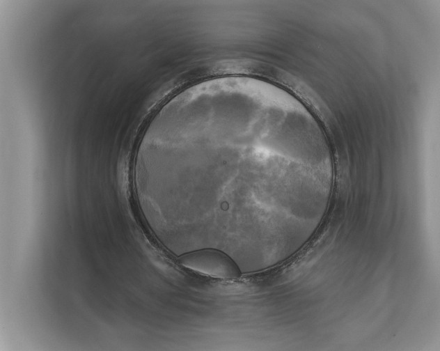 X0000111480386200908041126