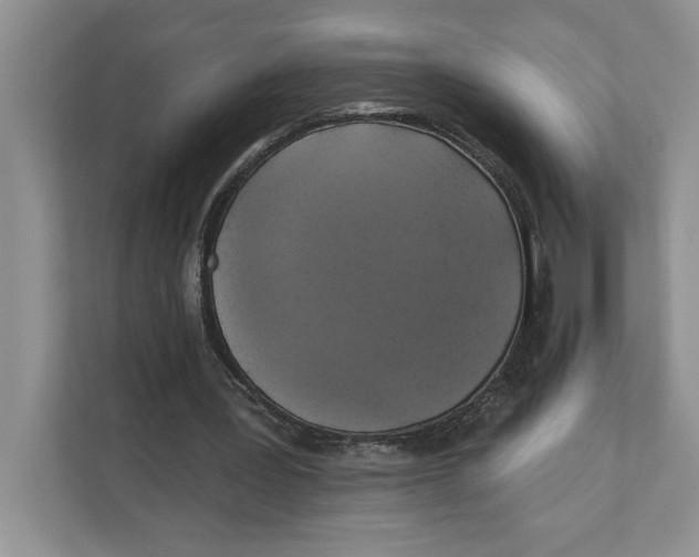 X0000111480387200908041126