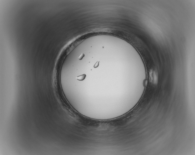 X0000111480388200908041126