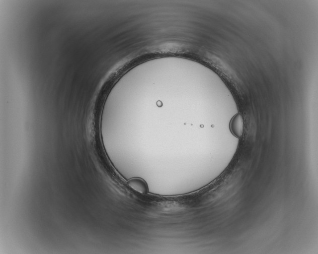 X0000111480392200908041126