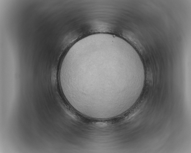 X0000111480394200908041126