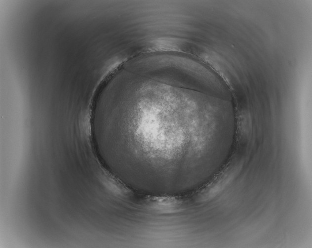 X0000111480395200908041126