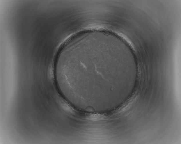 X0000111480399200908041126