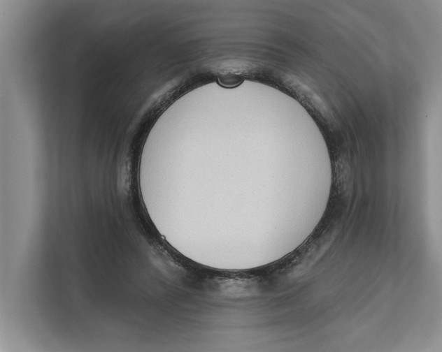 X0000111480400200908041126