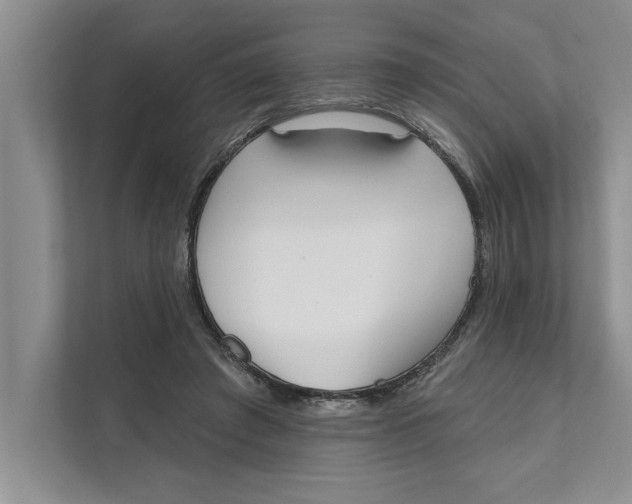 X0000111480401200908041126