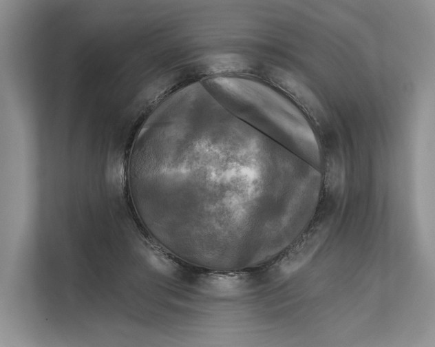 X0000111480405200908041126