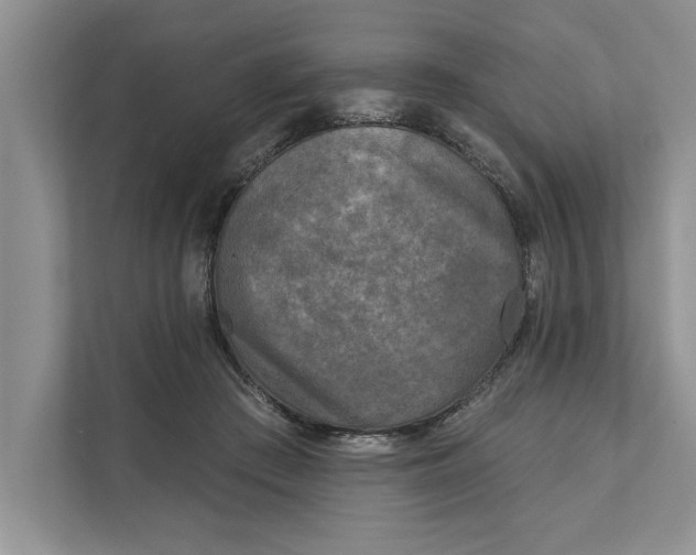X0000111480409200908041126