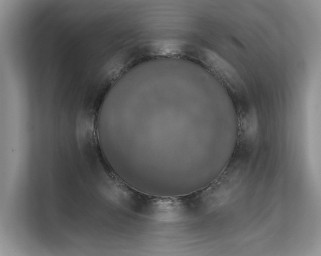 X0000111480415200908041126