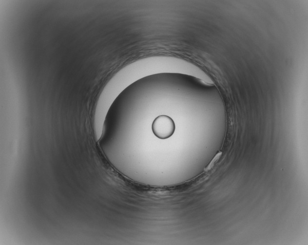 X0000111480419200908041126