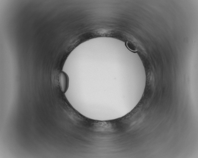 X0000111480421200908041126