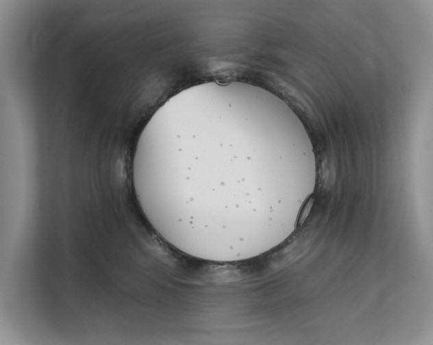 X0000111480424200908041126