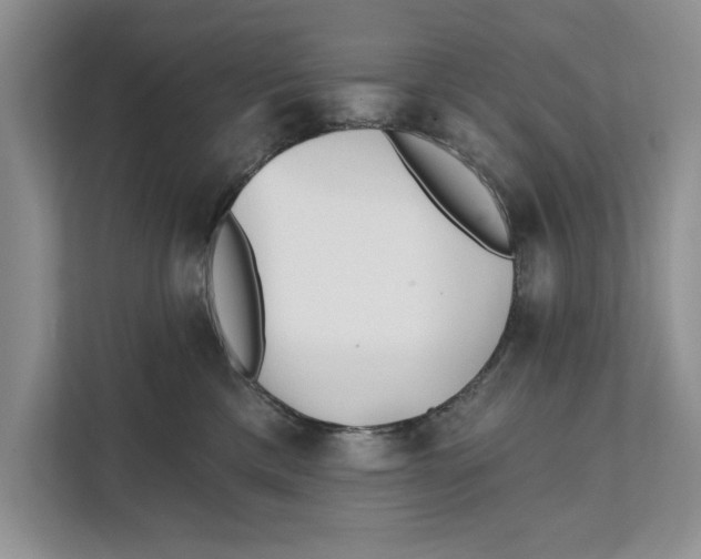 X0000111480425200908041126