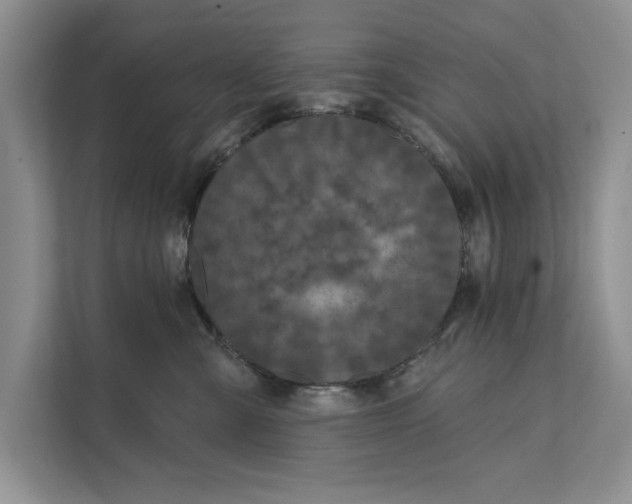 X0000111480427200908041126