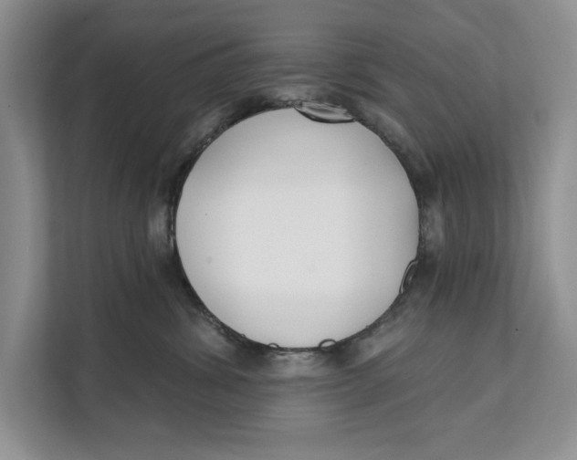 X0000111480428200908041126
