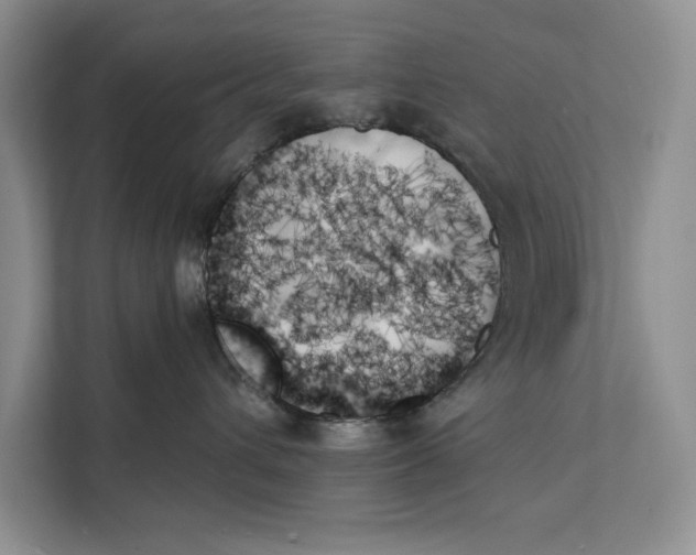 X0000111480432200908041126