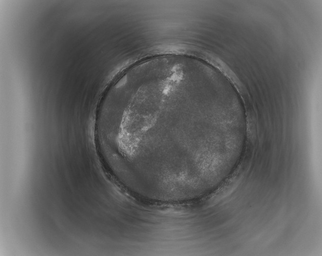 X0000111480434200908041125
