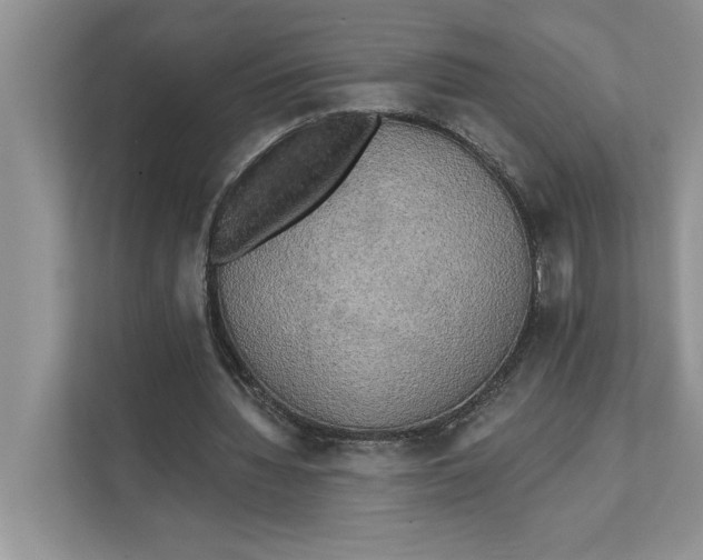 X0000111480436200908041125