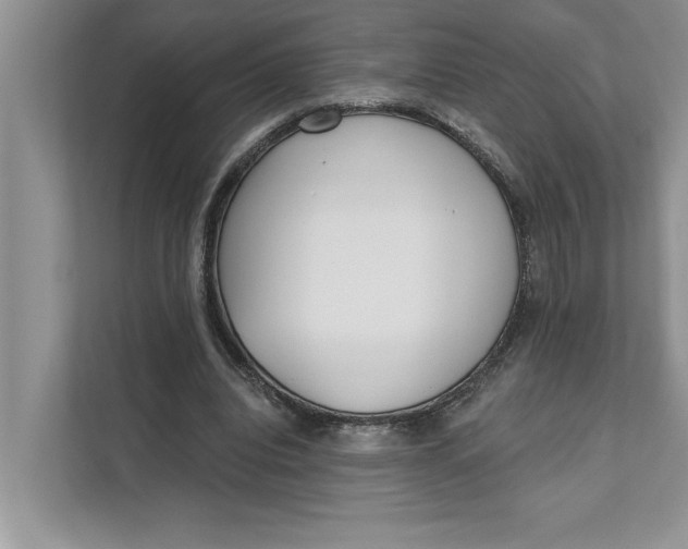 X0000111480440200908041125