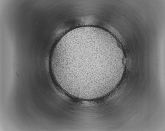 X0000111480442200908041125