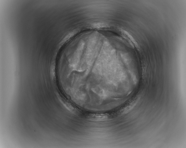 X0000111480443200908041125